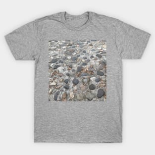 Cobblestone Street in Charleston, SC T-Shirt